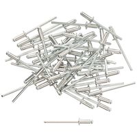 Заклепки мелкая фасовка, 50 шт., 3.2 х 8 мм FIT РОС 23718