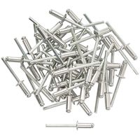 Заклепки мелкая фасовка, 50 шт., 4.8 х 12 мм FIT РОС 23762