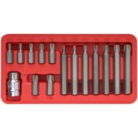 Набор бит "TORX" 15 шт. CrV FIT IT 57835