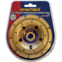 Чашка алмазная ПРАКТИКА "Эксперт" шлифовальная, 2 ряда, 110 х 15 мм, 030-955