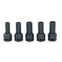 Набор торцевых головок 3/4"DR E18 / E20 / E24 / 17 мм/19 мм 12-гр. Для болтов ГБЦ MAN